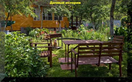 ������ ��� ��������: ���������� ������� ����