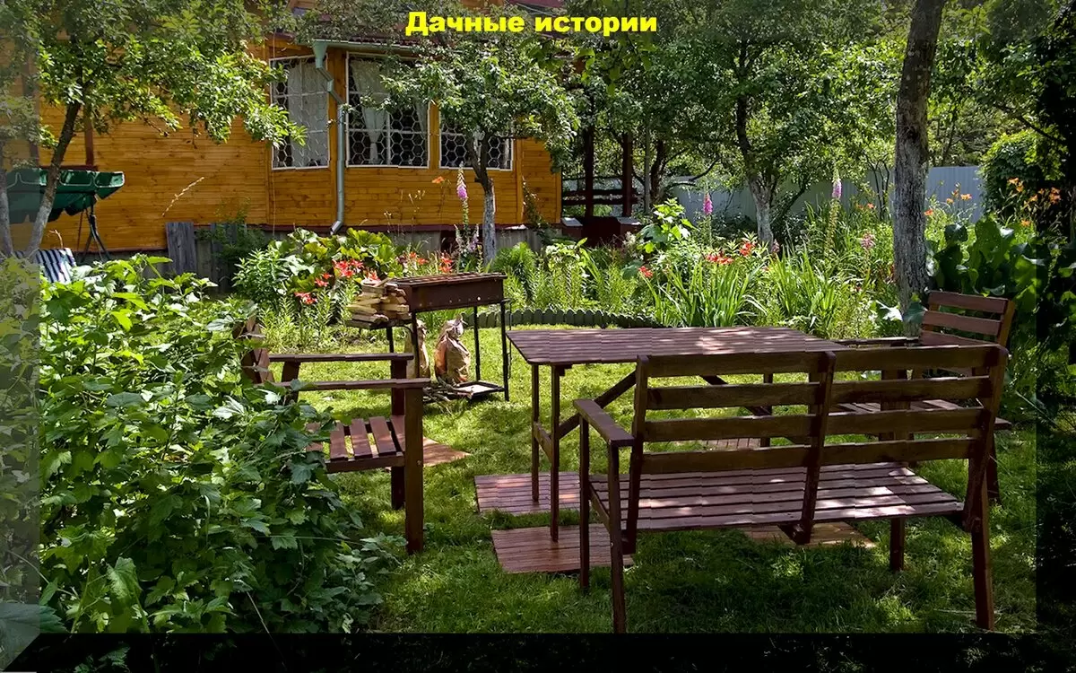 Советы для дачников: воплощение садовых мечт