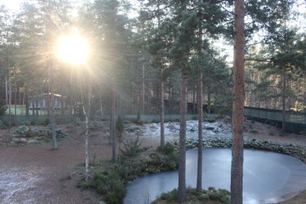 ��������� ������� ����: 10 ��������, ������� �������� ����� �������