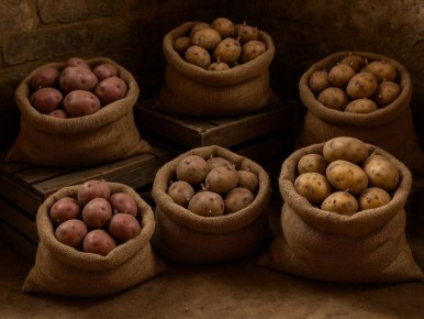 ��� ������� ������������� ������ ��������: ������� �� ��������