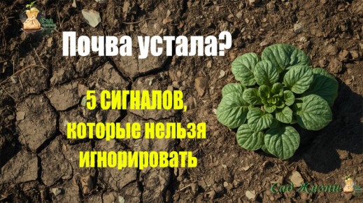 ����� ������ ������: 5 ��������� �������� ��� ���������