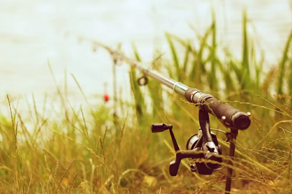 На Крите поймали ядовитого иглобрюха, способного перекусить металл