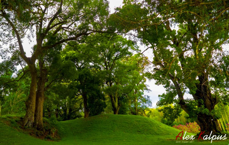 ���������� ���������: ������� ����� ������, ������� ��������