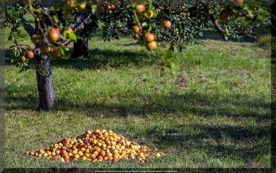 ������� ��������� ����� �� ��������: ������ �� ���������� ������� ���������