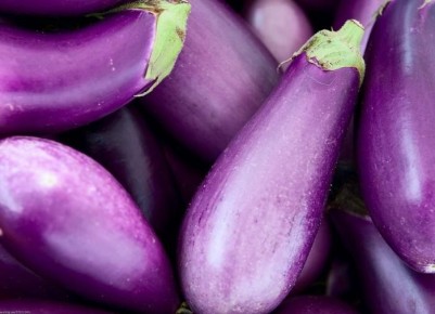 ������� ��������� ����������� ������� ������� ����������