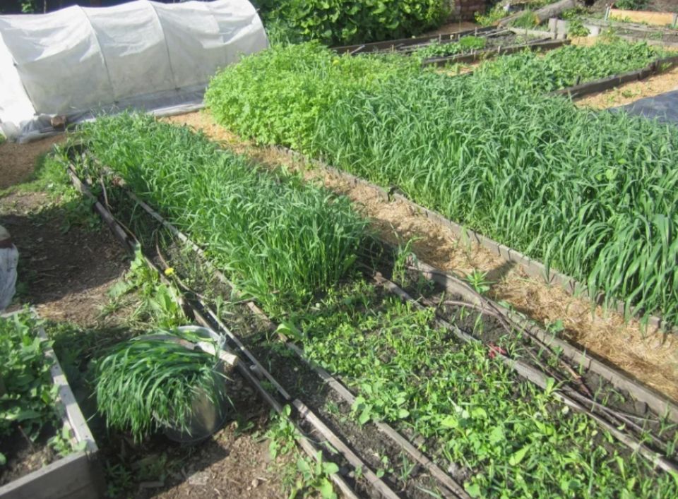 ������ ������� ����� ��������� � �� ������ ������� ����?