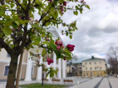 12 ������ �������� �����. ����������� ������� � ��������� ����� +3� +12 �C. ����� 2-3 �/�