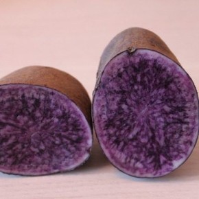 ��������� ���� �����: ��� ���������� ��������� ����������� ������������