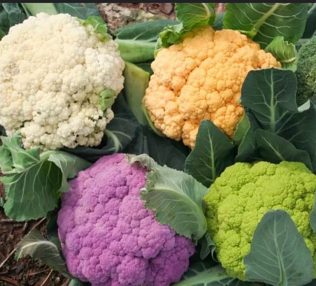 ������� �������: ������� ������ ����� � ��������� �����������