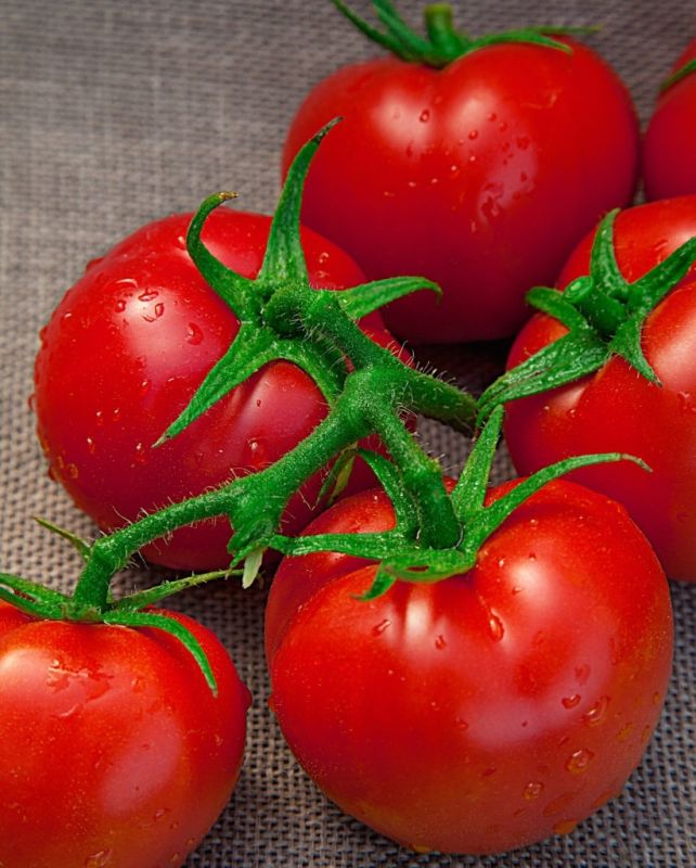 ������ ������: ������ ����� ��� ������ �������