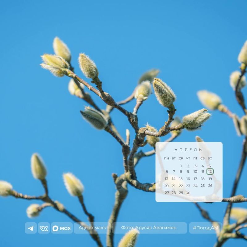 ������ ����!. 12 ������ � ������ ��������� �����