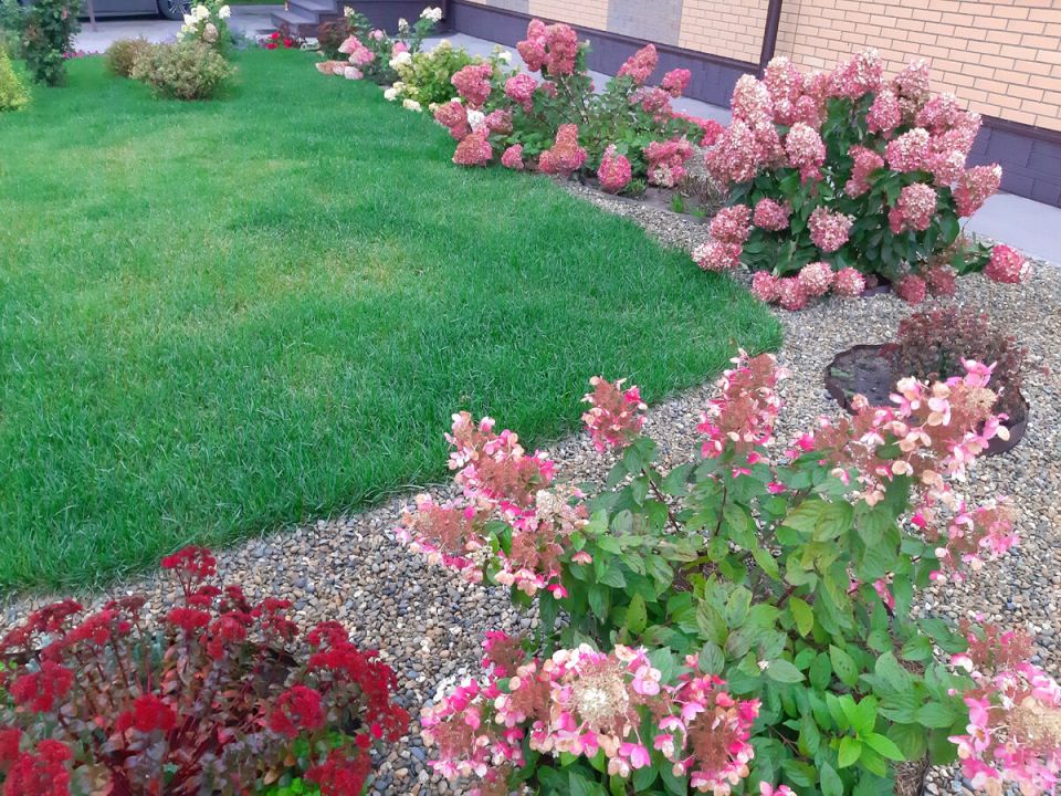 ����� ����� ������� ��� �������� ������� ���������?