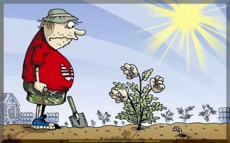 ���� ����: �������� ������� ��� ��������� ������ �������� ������