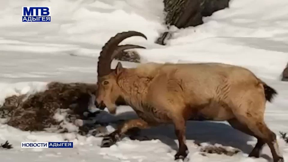 � � ���������� �������: �������� �����, ������ � ���������� �����������