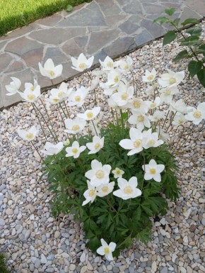 ����������� ������ ������ � ��������� �� ������ �������