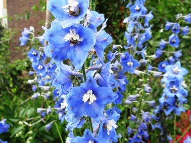 ��� ������� ��������� ���������� �� ����� ��� ������ ��������