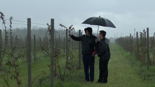 Смотрите ежедневную информационную программу МТВ в 18.00 на телеканалах ОТР и Кубань-24