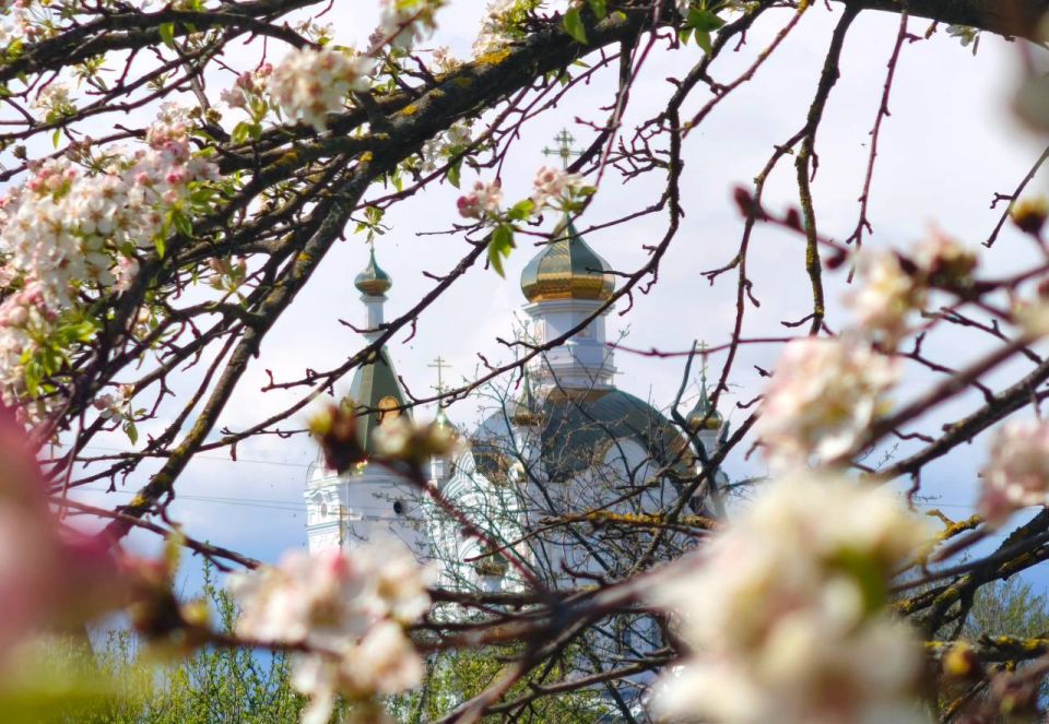 ���������� ����� ����� ������