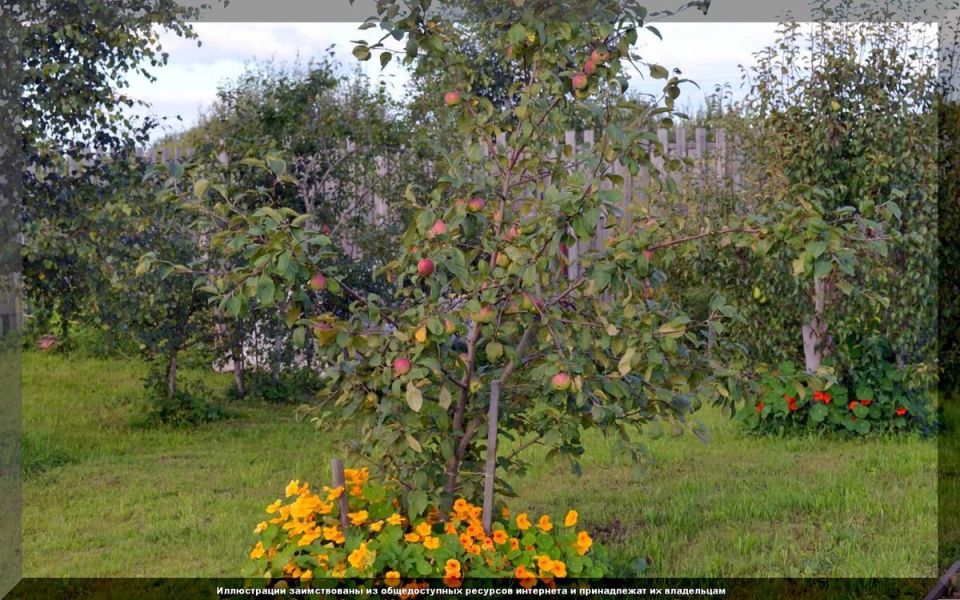 ��� ������������ � ���� ������: ����������� ������ ������ � ����������� � ���������