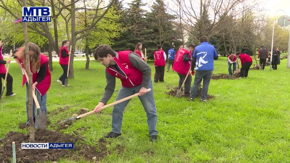 � ������� �������� ���������� ����������, ���������� ������������ ���������� ������ ������� �������