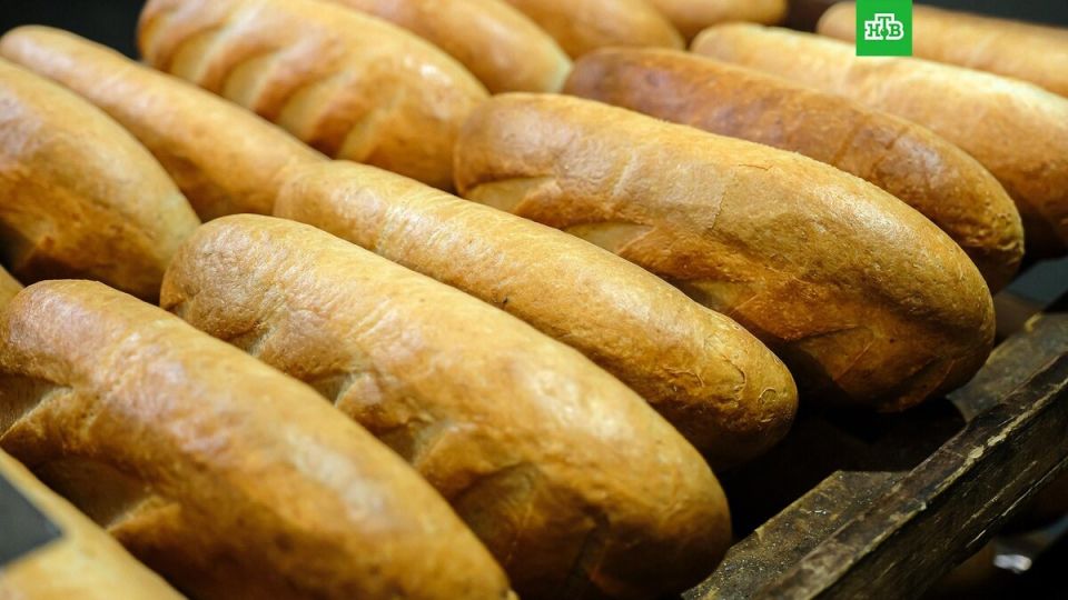 � ������ ������ ����� �������� ��� ������ �����