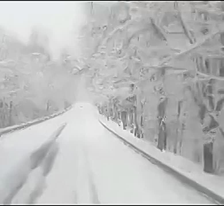 ���������������� ���������� ������ ������������� ���������� ��������� ��������