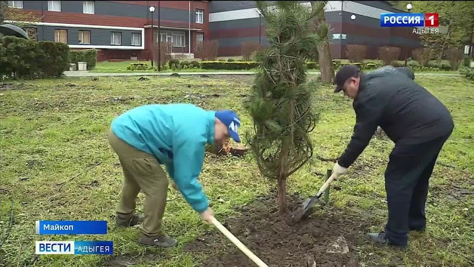 ������� ������ �� ���������� ������ � ����������� �������-������� ����� ������� �����, ������������� ������������ � ��������� - �� ����������� �� ���������� ������, � ����� �������������� ������������ �������� ������� �����...