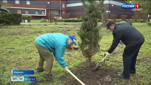 ������� ������ �� ���������� ������ � ����������� �������-������� ����� ������� �����, ������������� ������������ � ��������� - �� ����������� �� ���������� ������, � ����� �������������� ������������ �������� ������� �����...