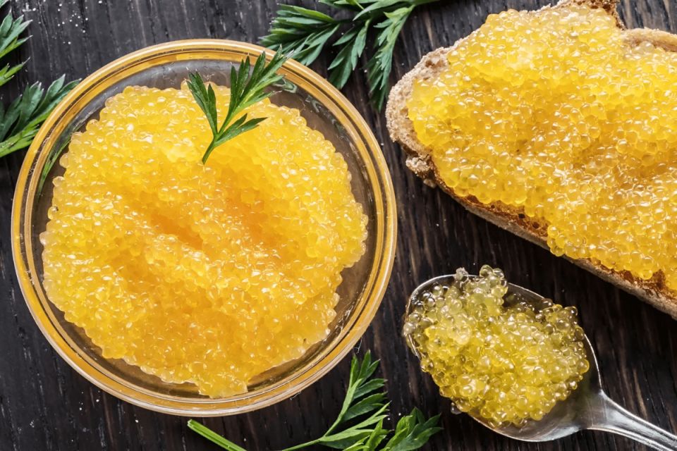 ����������� ��������: ������� ��������� ������� �����