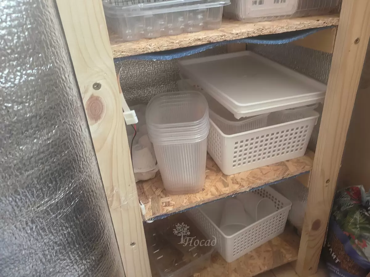 Как привычные контейнеры для рассады могут превзойти дорогую профессиональную тару