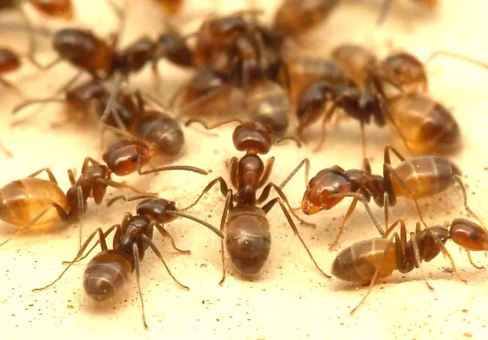 ������� � ���� � ��� � ���� ��������?