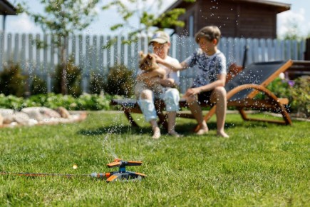 Как создать идеальный ландшафт: секреты для вашего участка