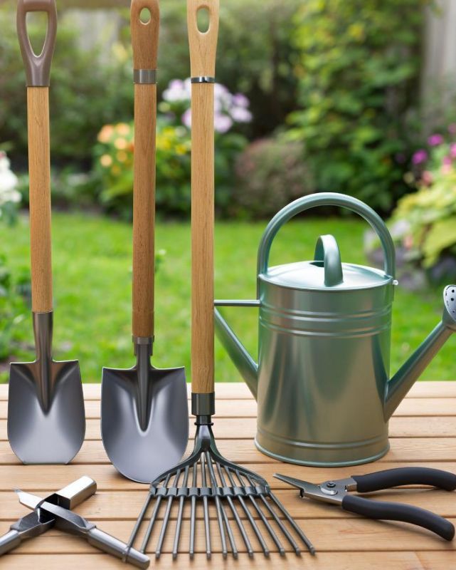 �������� ���������� �������: ������, ������ � ������