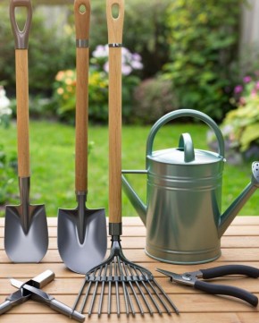 �������� ���������� �������: ������, ������ � ������