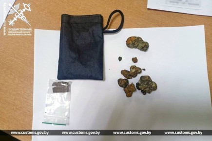 Гражданин Гродно попался с запрещенными грибами на границе с Польшей