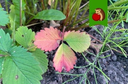 �������� � �������� ��������: �������� ��� ������ �������