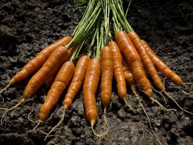 ����������� ���������� � ����� ����: ��� ���������� ����� ������� ������� �� ����������