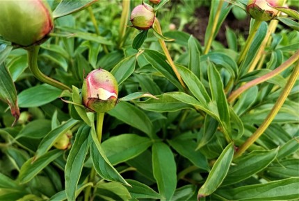 ������� � �����: ��� �������� ����� �� �������� ������