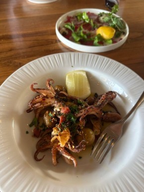 ����� ������� ����