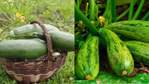 ��� ���������� ������ � ����������� �������� ������ ����������� ������