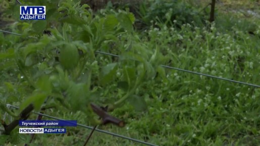 � �������� ����� � ������� �������� ����������� ������