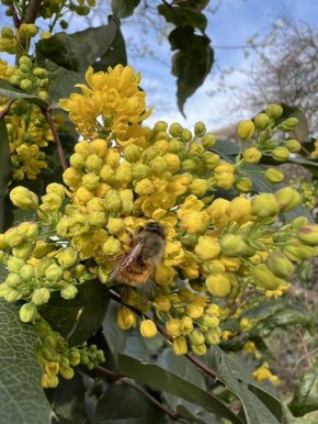 21 ������ � ������ �����������