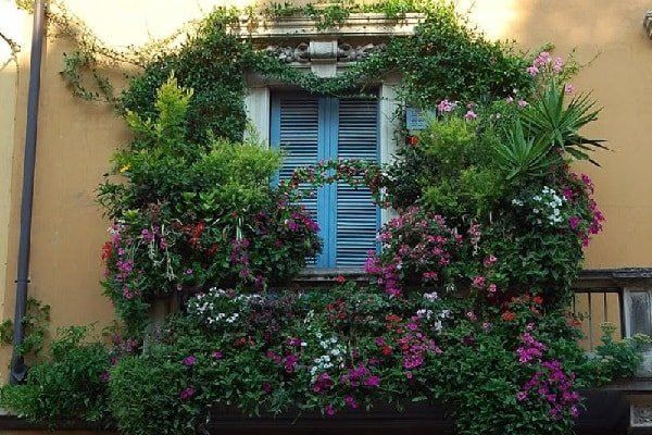 ��� ����� �� ������� ����� ����������� ��� ���