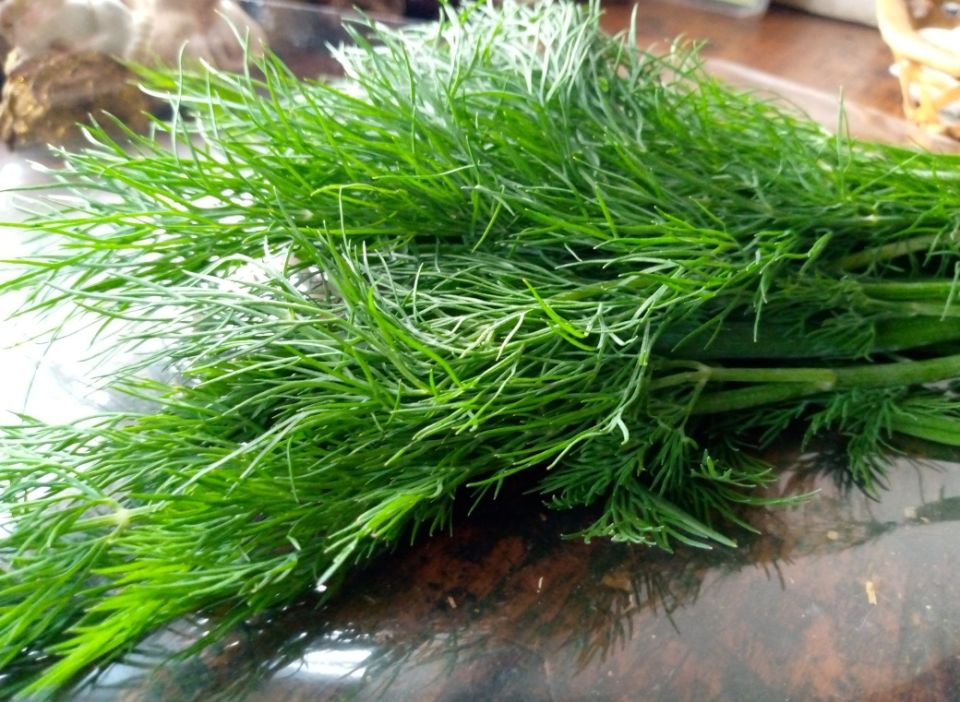 ������ ����� ������������ ������ ��� �����: ����������� ����� � ������