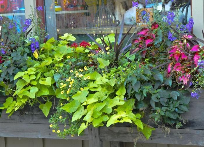 ��� �������� ���� ������ �� ��������: �������� ������