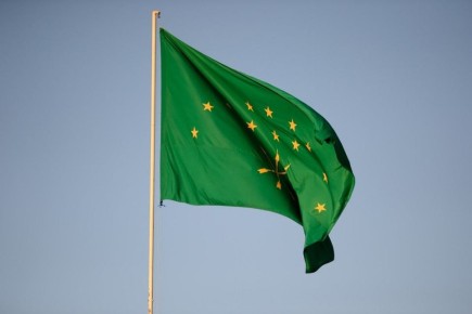 ���� ���������������� ����� ������ ����������� � ���������� 25 ������