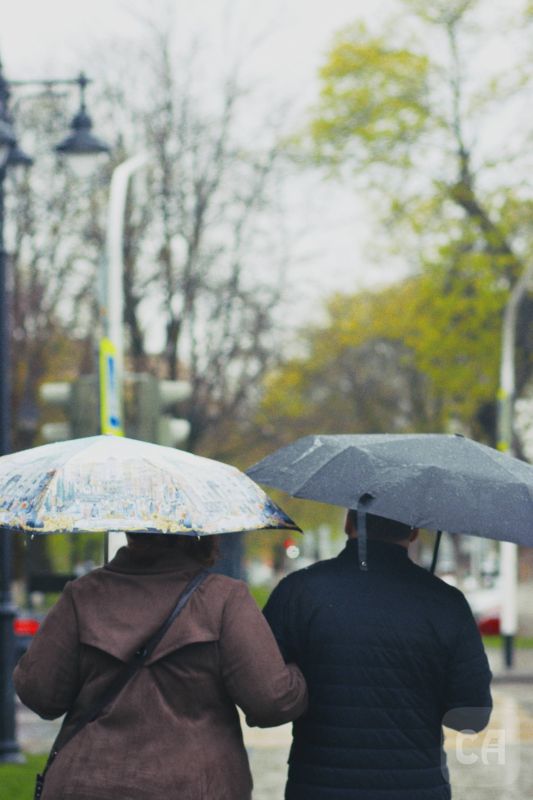 �������, ��� ������ �� ����� ���� ����� (�/� �������)