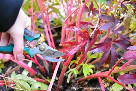 ����� ������ � ����� ����: ����� � ��� ��������� �� ��������