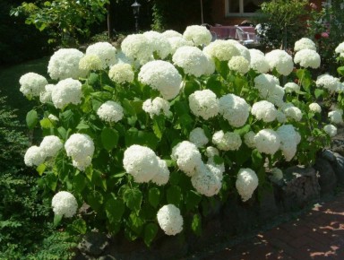 ���������� ��������� � ������� ������