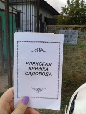 ��� ������� ������ ������: ���� ������������ �������